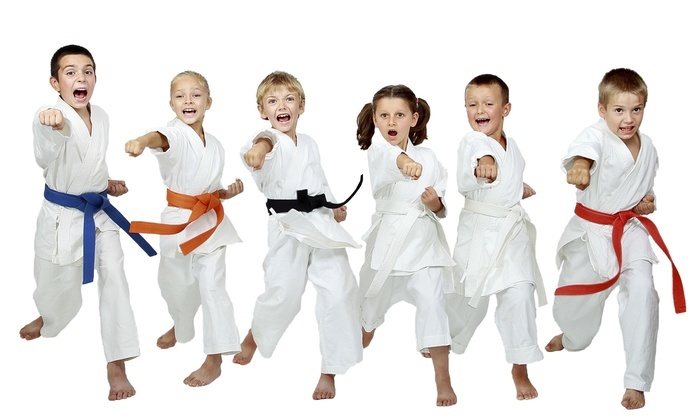 <span style="font-weight: bold;">Karate&nbsp;</span>